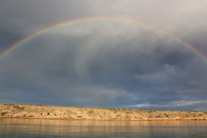 Rainbows over Tetradon