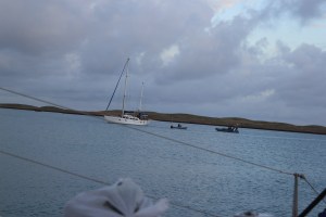 IMG_8154